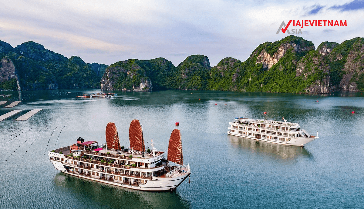 10 Mejores Cruceros En La Bahía De Halong 2025 1 10 Mejores Cruceros En La Bahía De Halong 2025- Funny Trip Phú Quốc